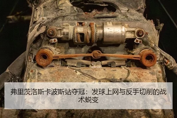 fu-li-ci-luo-si-ka-bo-si-zhan-duo-guan-fa-qiu-shang-wang-yu-fan-shou-qie-xiao-de-zhan-shu-tui-bian-3-343.jpg